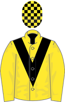 Terry Warner silks