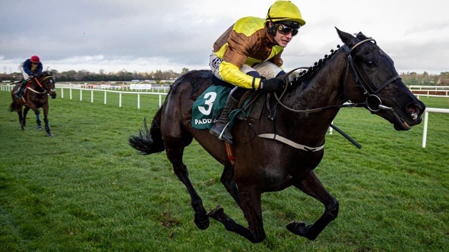 Irish Gold Cup 2026 preview features Galopin Des Champs