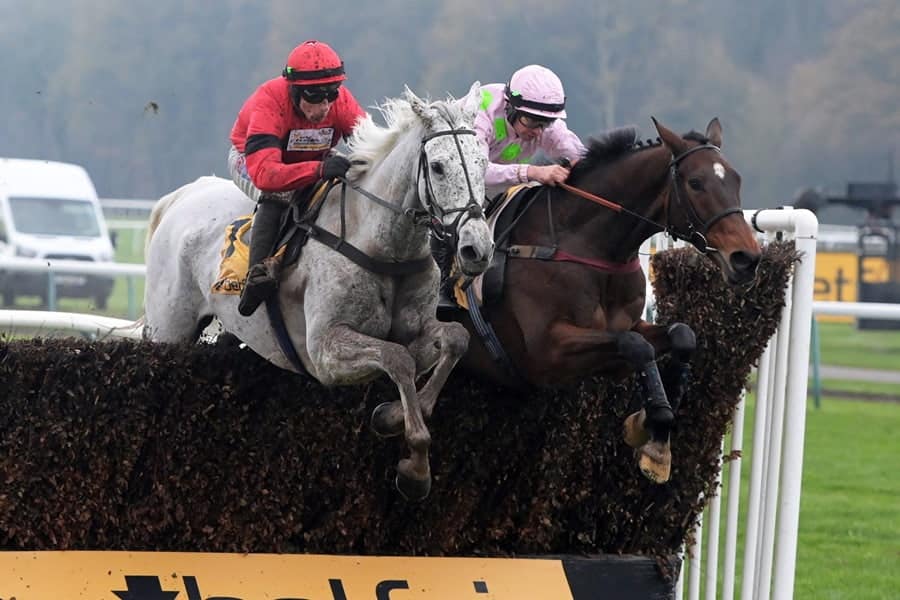 Cotswold Chase 2026 preview includes Grey Dawning