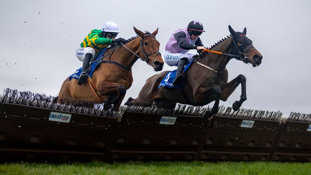 Spring Juvenile Hurdle 2026 preview includes Mange Tout & Narciso Has