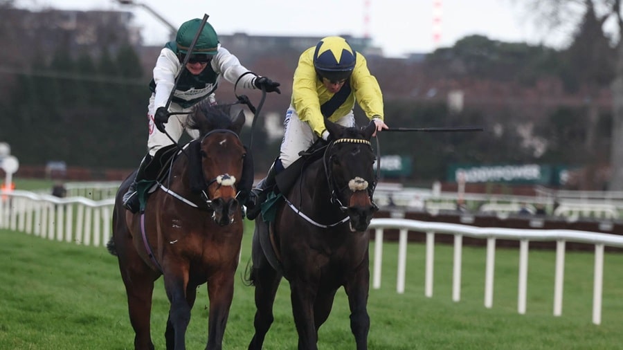 Dublin Chase 2026 preview includes Solness & Marine Nationale