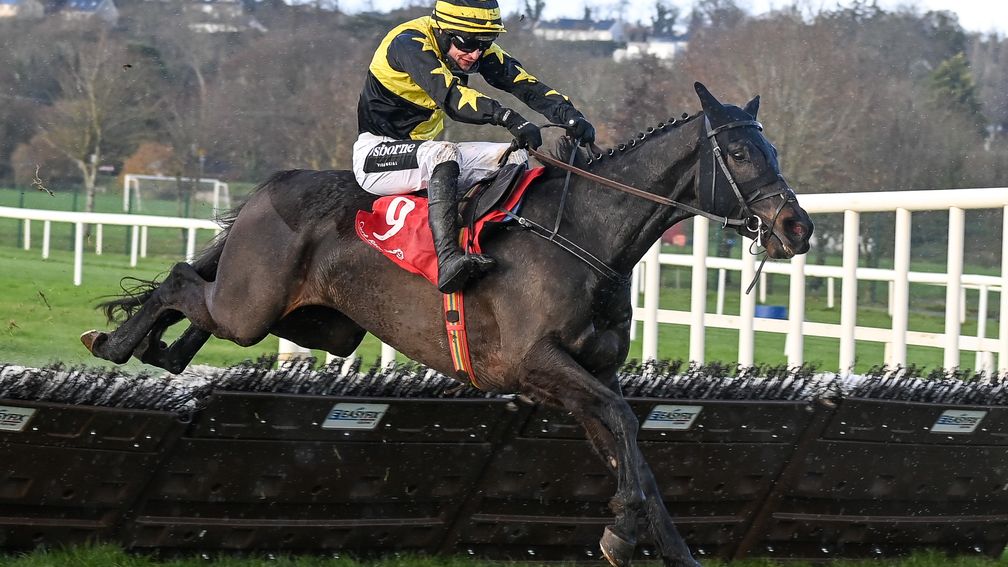 Ballymore Novice Hurdle 2026 preview includes Sortudo