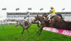 Hampton Novices Chase 2026 Preview – Cheltenham Winner Wade Out in Warwick Mission