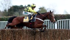 Newbury Super Saturday 2026 Preview – Haiti Couleurs & Lulamaba Put Cheltenham Claims on Line